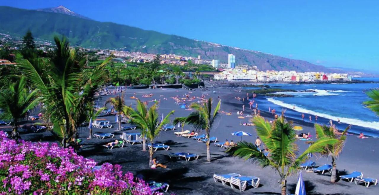 Cozy Studio Harbour View In Puerto De La Cruz Eksteriør billede